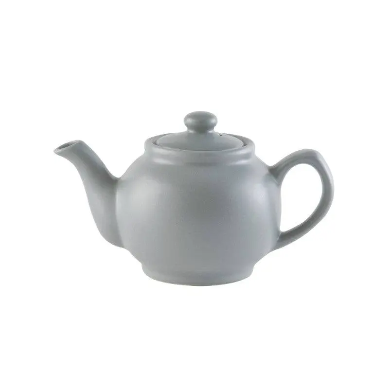 Matte Grey Stoneware Teapot – Price & Kensington, 2-Cup 1